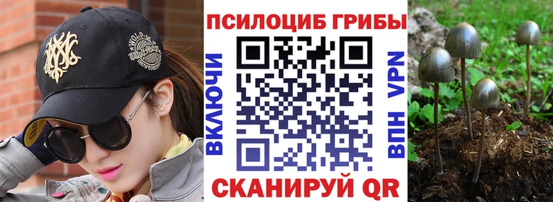 наркошоп  omg tor  Псилоцибиновые грибы мицелий  Тосно 